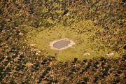 botswana safari andtraveller